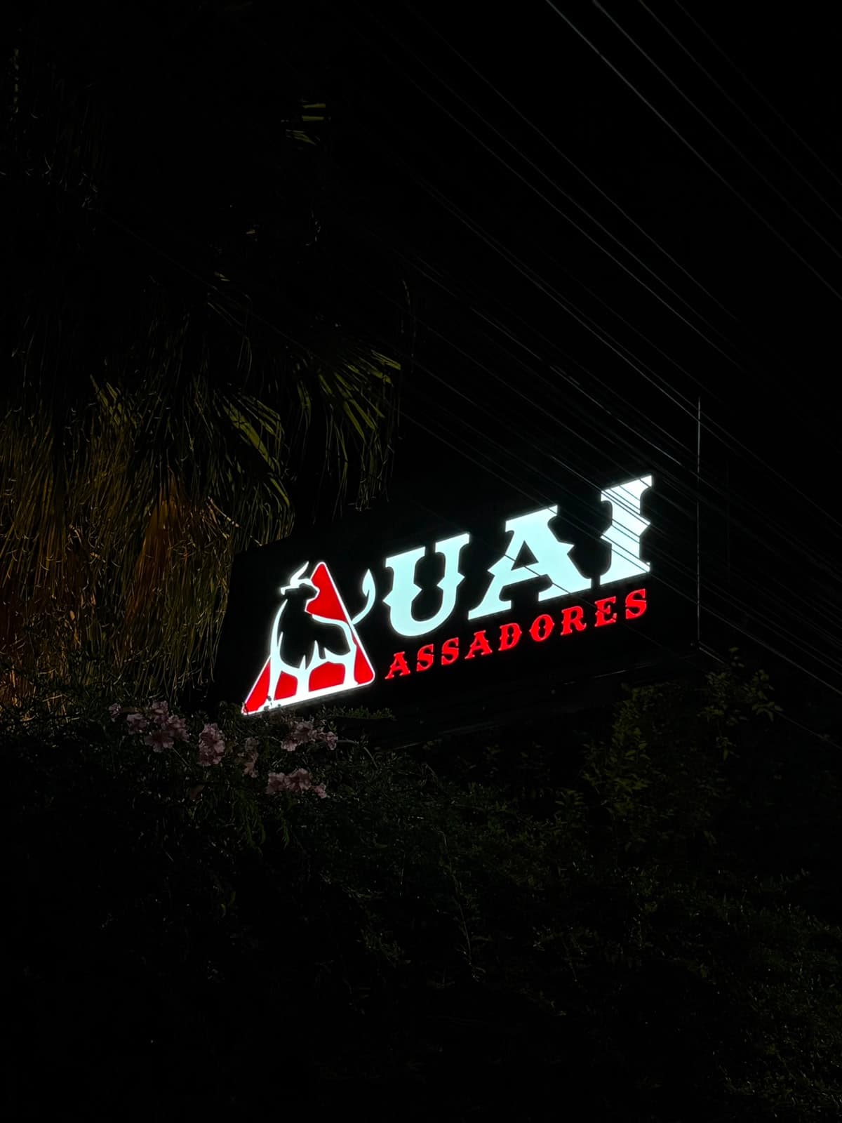 Galeria relacionada 3